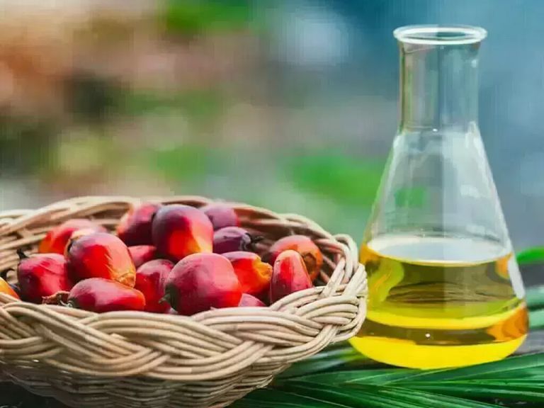 زيت النخيل الماليزي يهبط للجلسة الثالثة مع تراجع النفط والزيوت النباتية المنافسة