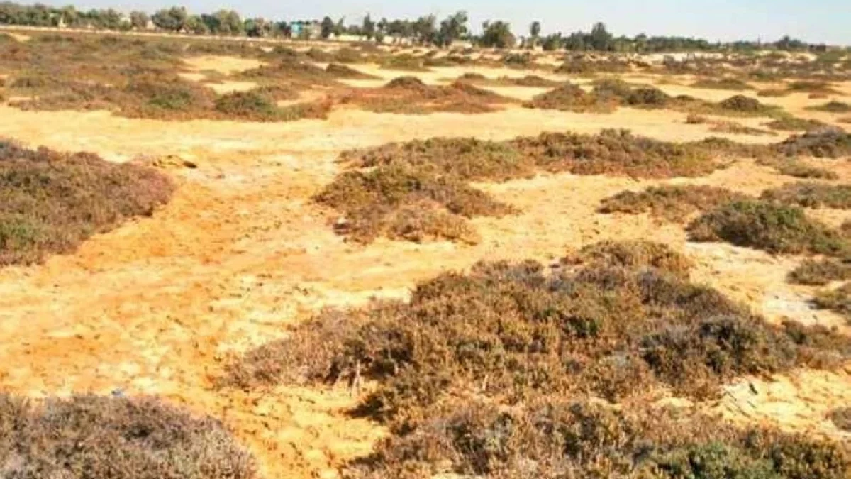 ساعات على غلق باب الحجز.. تفاصيل طرح أراض استثمارية بـ4 مدن جديدة (أماكن الطرح)