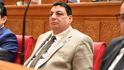 سامي نصرالله: الرئيس السيسي قاد مصر إلى بر الأمان وحمى الدولة من الإرهاب والتفكك بعد ثورة 30 يونيو