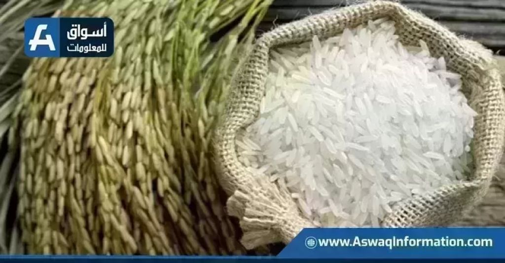 سعر الأرز اليوم الإثنين عند التاجر.. بكام طن الشعير؟