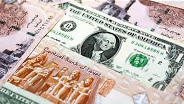 سعر الدولار اليوم أمام الجنيه المصري في البنوك الحكومية والخاصة