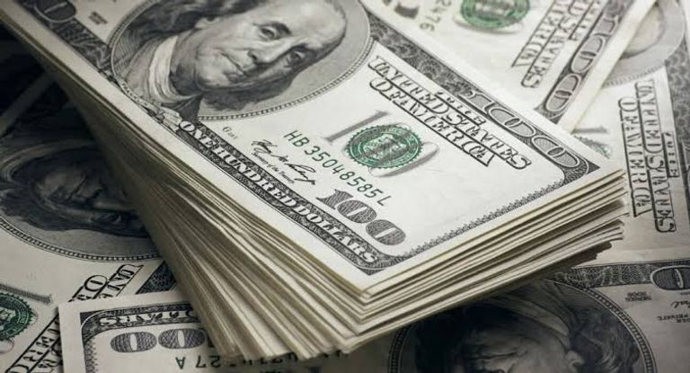 سعر الدولار اليوم في مصر الإثنين 15 يونيو 2026.. خسائر جديدة