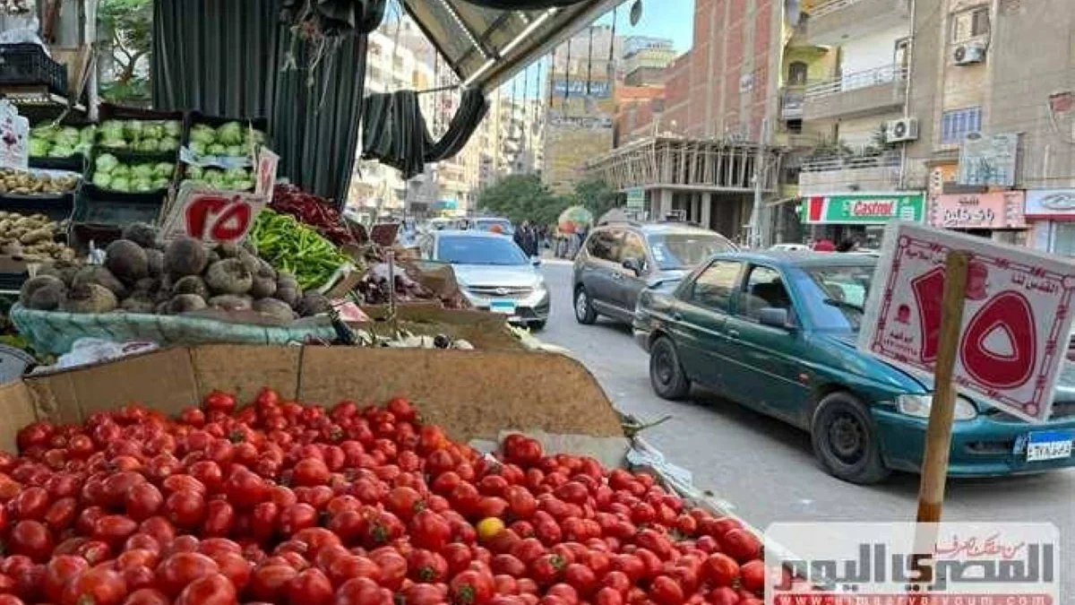 سعر الطماطم والبصل والفاكهة بأسواق الشرقية اليوم الثلاثاء 16 يونيو 2026
