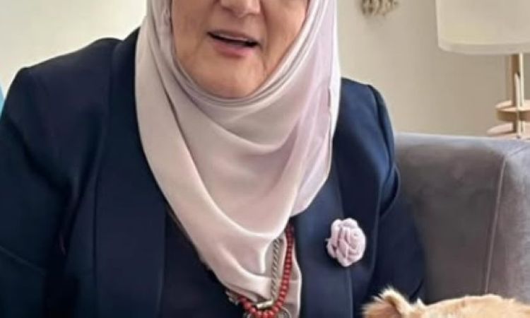 شمس البارودي تكشف تطورات حالتها الصحية