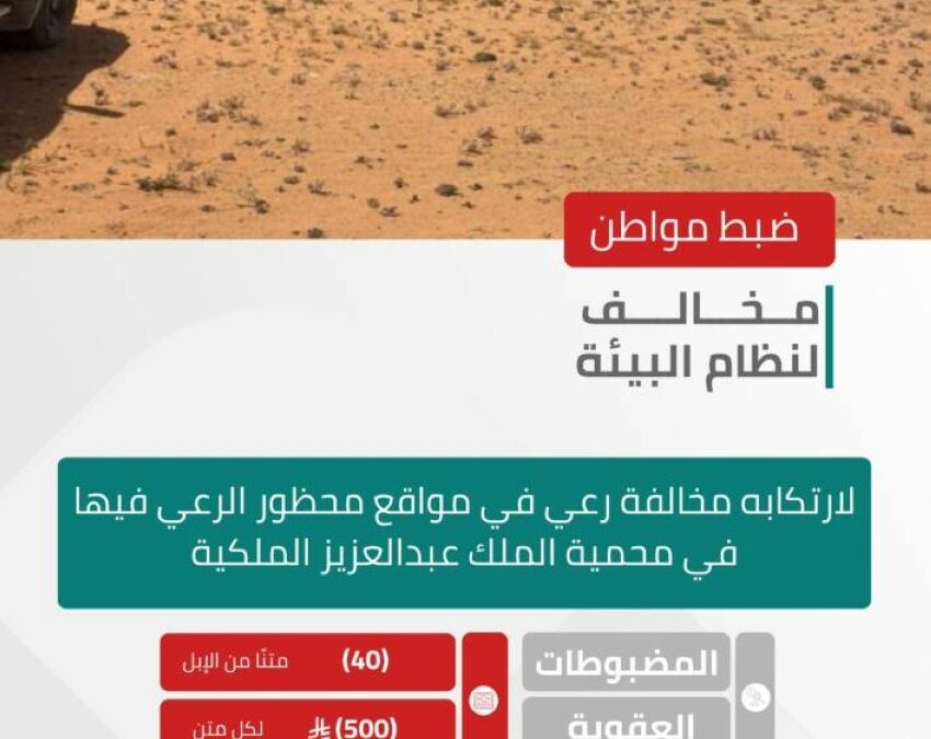 ضبط مواطن خالف نظام البيئة بالرعي في محمية الملك عبدالعزيز