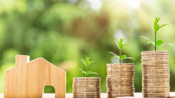 ضوابط إصدار الموافقات والتصاريح والتراخيص المتعلقة بالأنشطة الاستثمارية بالقانون