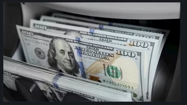 استقرار سعر الدولار أمام الجنيه المصري اليوم