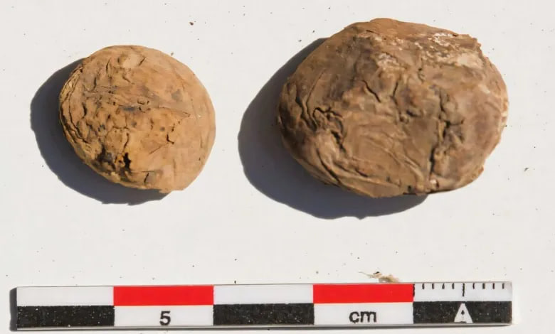 علماء آثار يعثرون على بطاطا مجففة من حضارة الإنكا عمرها 500 عام