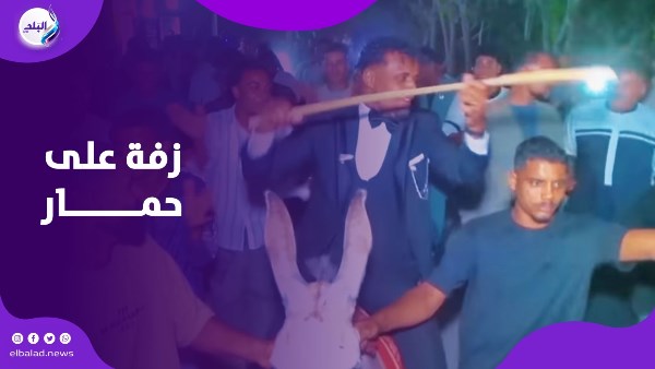 على ظهر حمار .. عريس يثير الجدل بزفة غير تقليدية