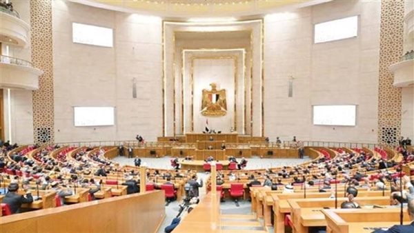 «لجنة حقوق الإنسان» بالنواب تستعرض جهود هيئة الاستعلامات في نشر الوعي المجتمعي وتعزيز الثقافة الحقوقية