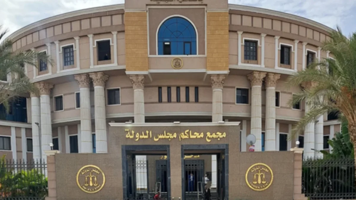 لصالح العاملين بالمهن الطبية.. «القضاء الإداري» يحدد الحوافز المستبعدة من حساب الحد الأدنى للأجور (تفاصيل)