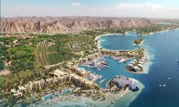 “مبادرة البحر الأحمر” لحماية الشعاب المرجانية وتعزيز التنمية البيئية المستدامة