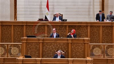 مجلس النواب يوافق على منحة من الوكالة الفرنسة بقيمة 2 مليون يورو لدعم الرعاية الاجتماعية والتأمين الصحي الشامل