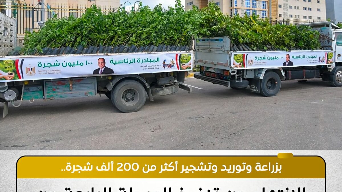 مجلس الوزراء: زراعة أكثر من 200 ألف شجرة ضمن المرحلة الرابعة من مبادرة “100 مليون شجرة”