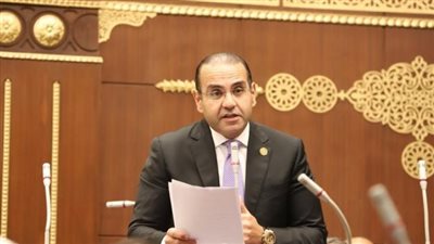 محمد المنزلاوي: زيارة محمد بن زايد للقاهرة تجسد اصطفافًا عربيًا داعمًا للاستقرار في لحظة إقليمية دقيقة