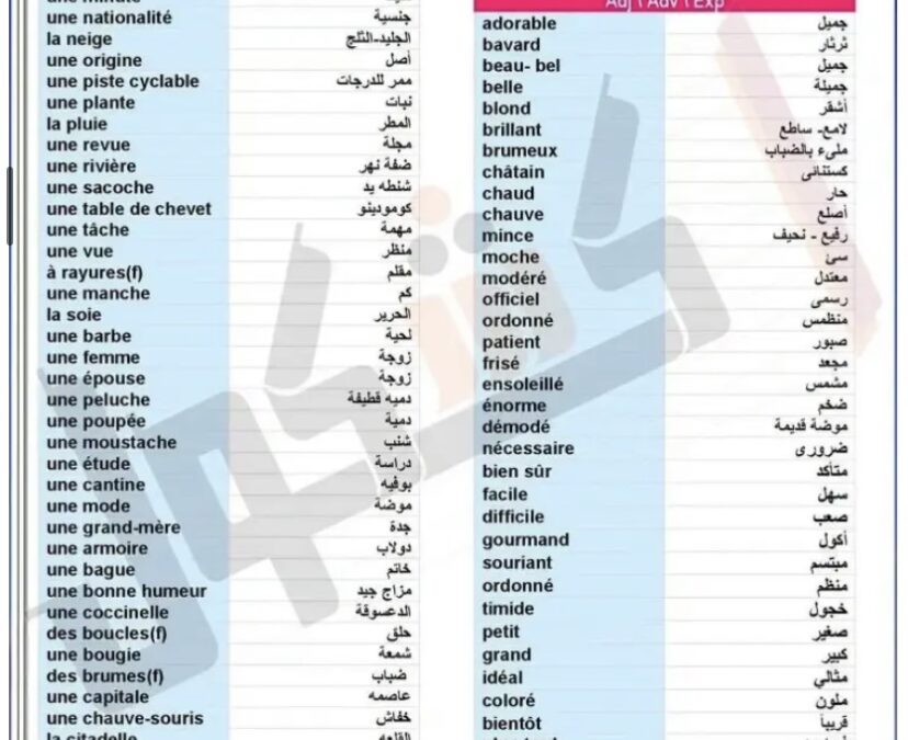 مراجعة ليلة الامتحان مادة اللغة الفرنسية للصف الثالث الثانوي 2026 الشاملة