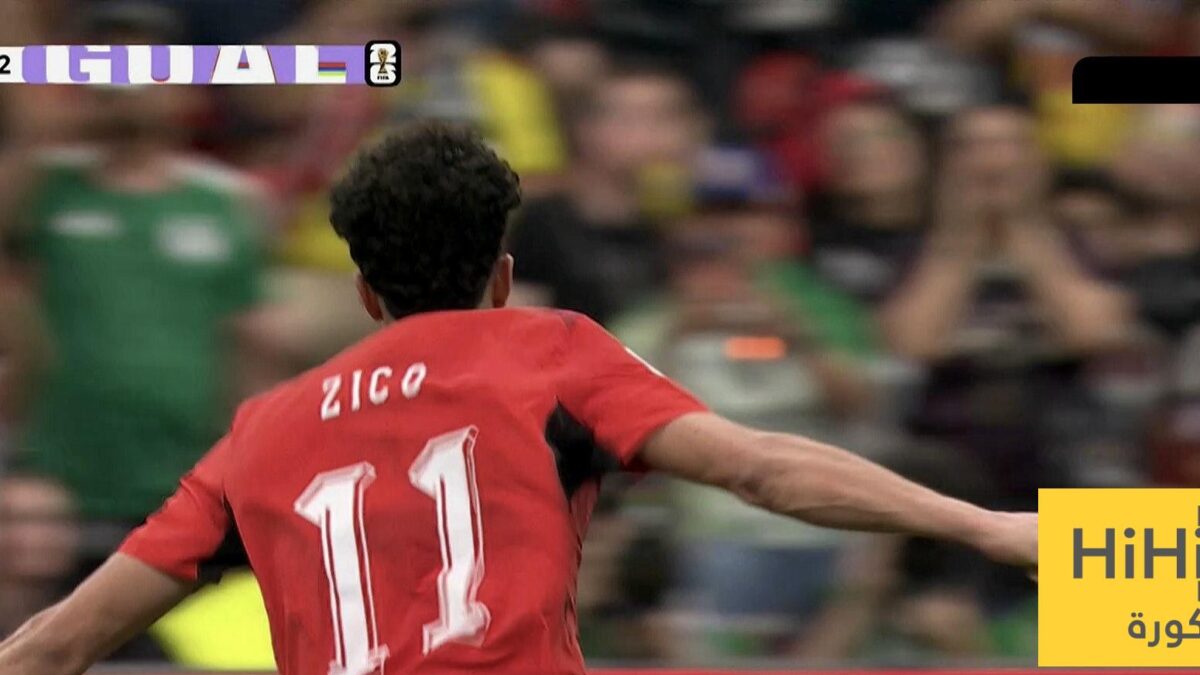 منتخب مصر يتعادل أمام نيوزيلندا عن طريق زيكو