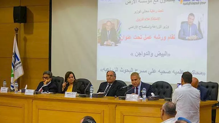نقيب البيطريين: صناعة الدواجن ركيزة للأمن الغذائي في مصر