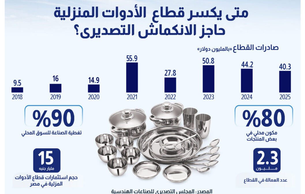 هل تنجح الأدوات المنزلية في تحويل الأزمات إلى فرص؟