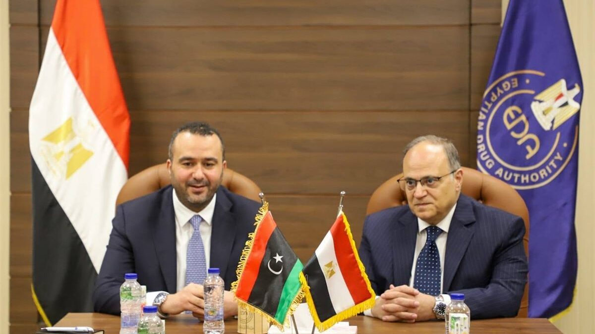 هيئة الدواء المصرية تبحث مع ليبيا تعزيز التعاون في القطاع الصحي والدوائي