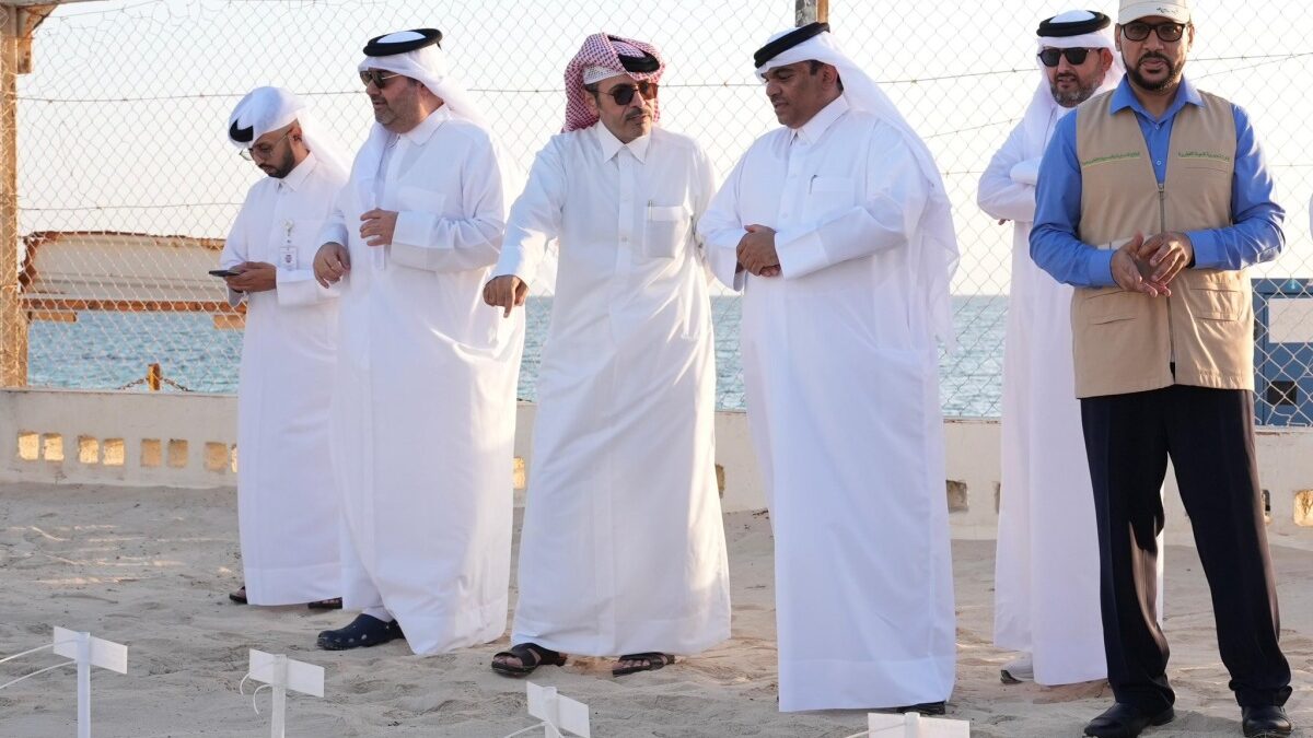 وزارة البيئة تدشن موسم فقس وإطلاق السلاحف "صقرية المنقار"