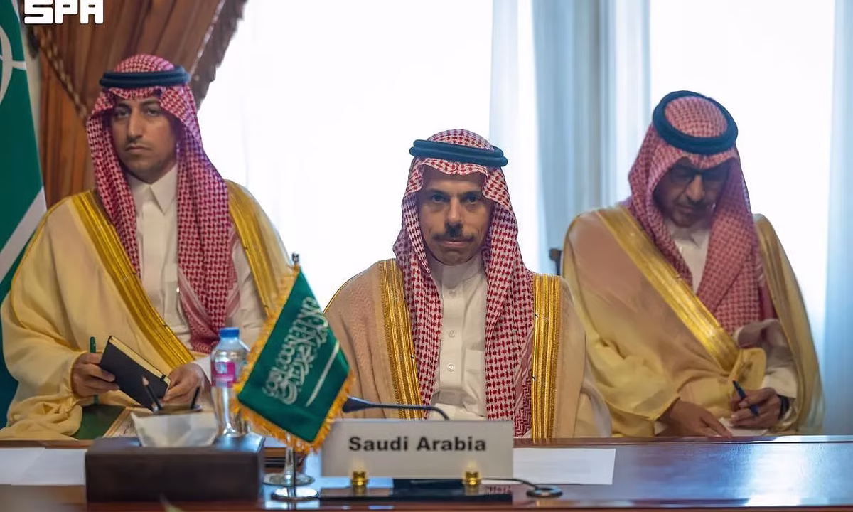 وزير الخارجية يشارك في الاجتماع الرباعي بالقاهرة