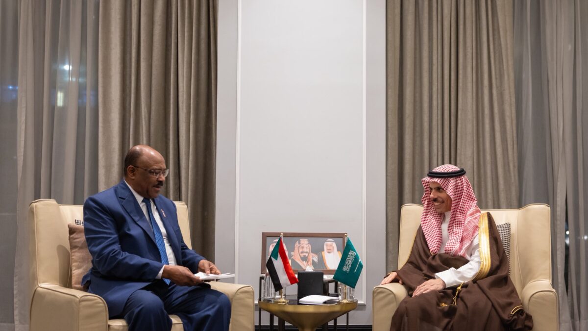 وزير الخارجية يعقد سلسلة لقاءات ثنائية مع نظرائه العرب في الأردن