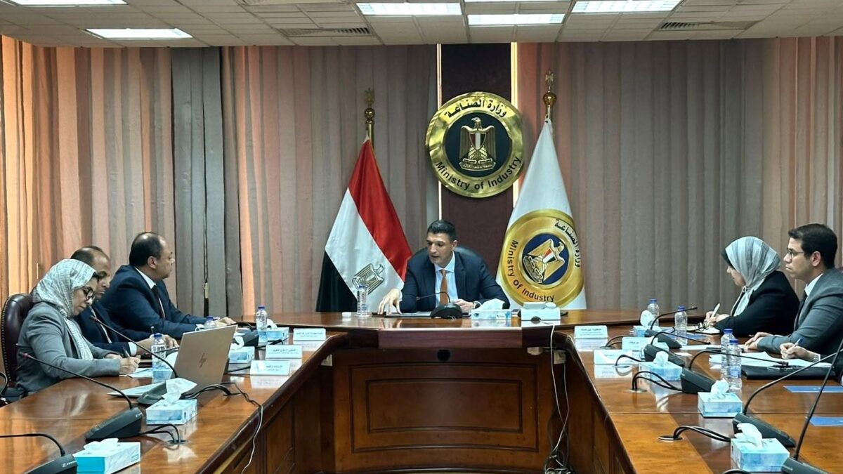 وزير الصناعة يبحث مع رئيس هيئة تنمية الصعيد دعم التنمية في محافظات الجنوب