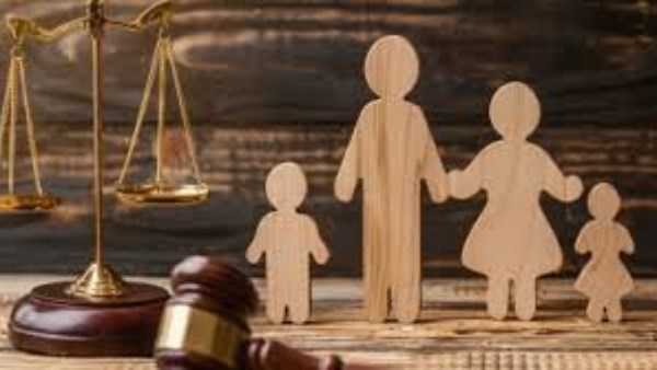 وكيل تشريعية النواب: حرمان الأب من رؤية أبنائه يؤدي إلى إسقاط الحضانة