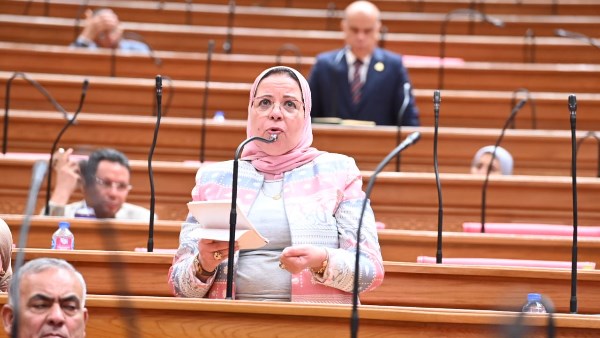 يرلمانية: المرحلة الحالية تتطلب زيادة الاعتماد على القطاعات الإنتاجية وتعظيم الإيرادات