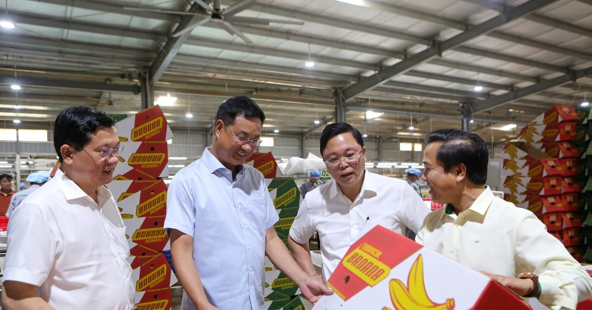 Khát vọng từ Hành lang kinh tế Đông – Tây