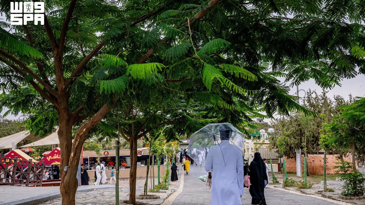 أمطار وعواصف رعدية تضرب منطقة الباحة