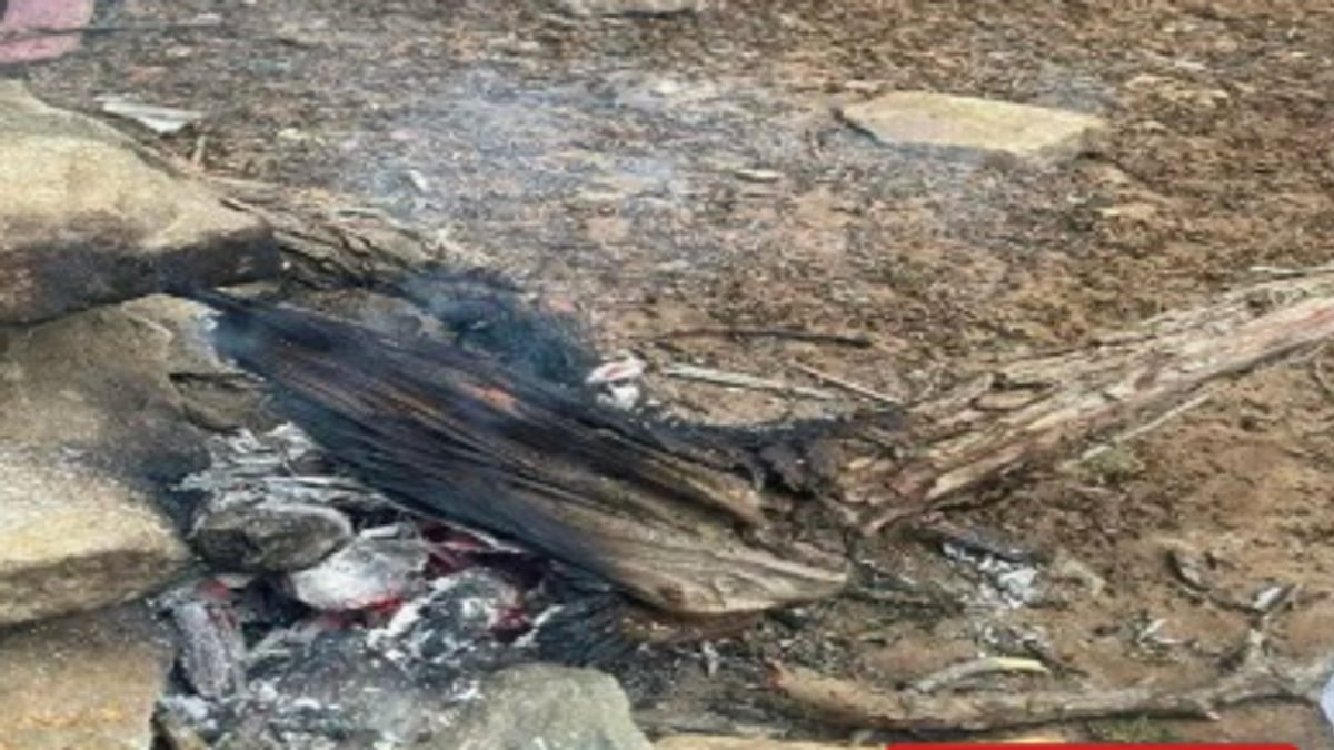ضبط مواطن أشعل النار في محمية الإمام فيصل بن تركي