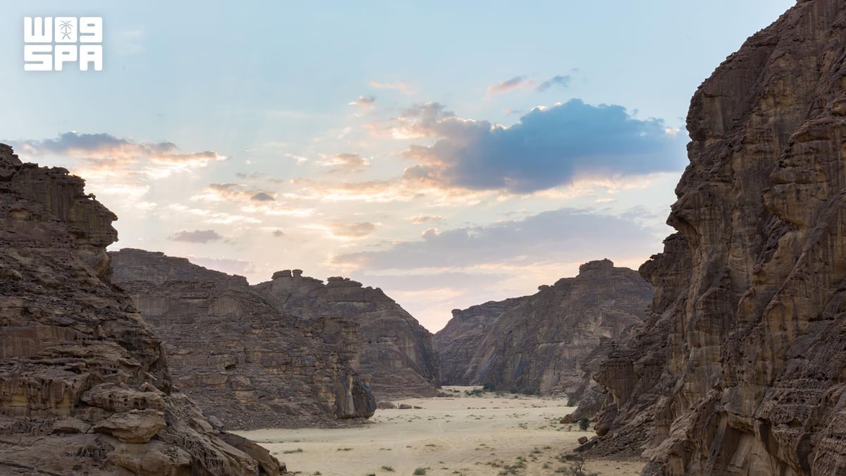 العُلا تلهم الشعراء وتعزز التراث الأدبي العربي
