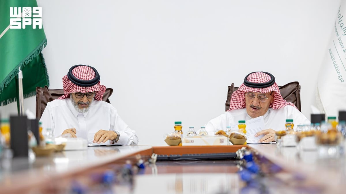 برنامج وطني يطلق مشروعًا لتربية الضأن النعيمي في القصيم