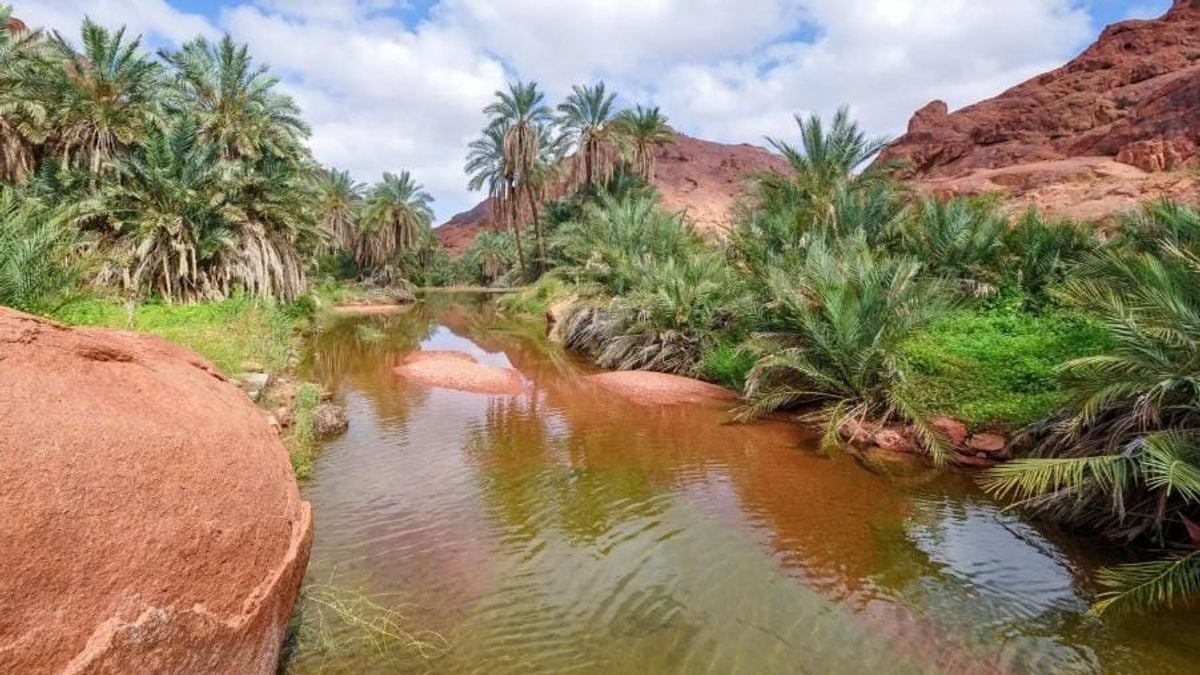 حائل تضم أكثر من 600 حديقة ومنتزه لتعزيز السياحة الصيفية