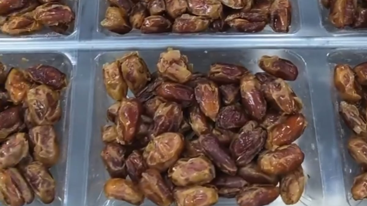 موسم تمور حوطة بني تميم يبدأ بدعم من أمانة الرياض