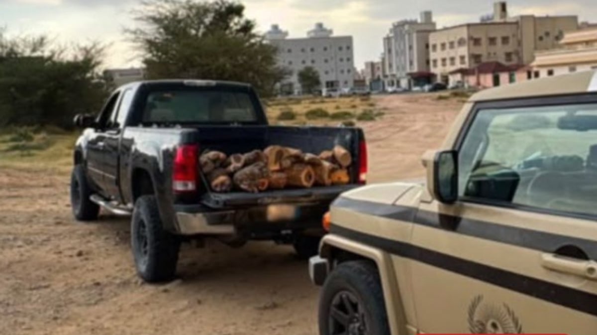 ضبط مقيم بنجلاديشي لنقله حطبًا محليًا في عسير