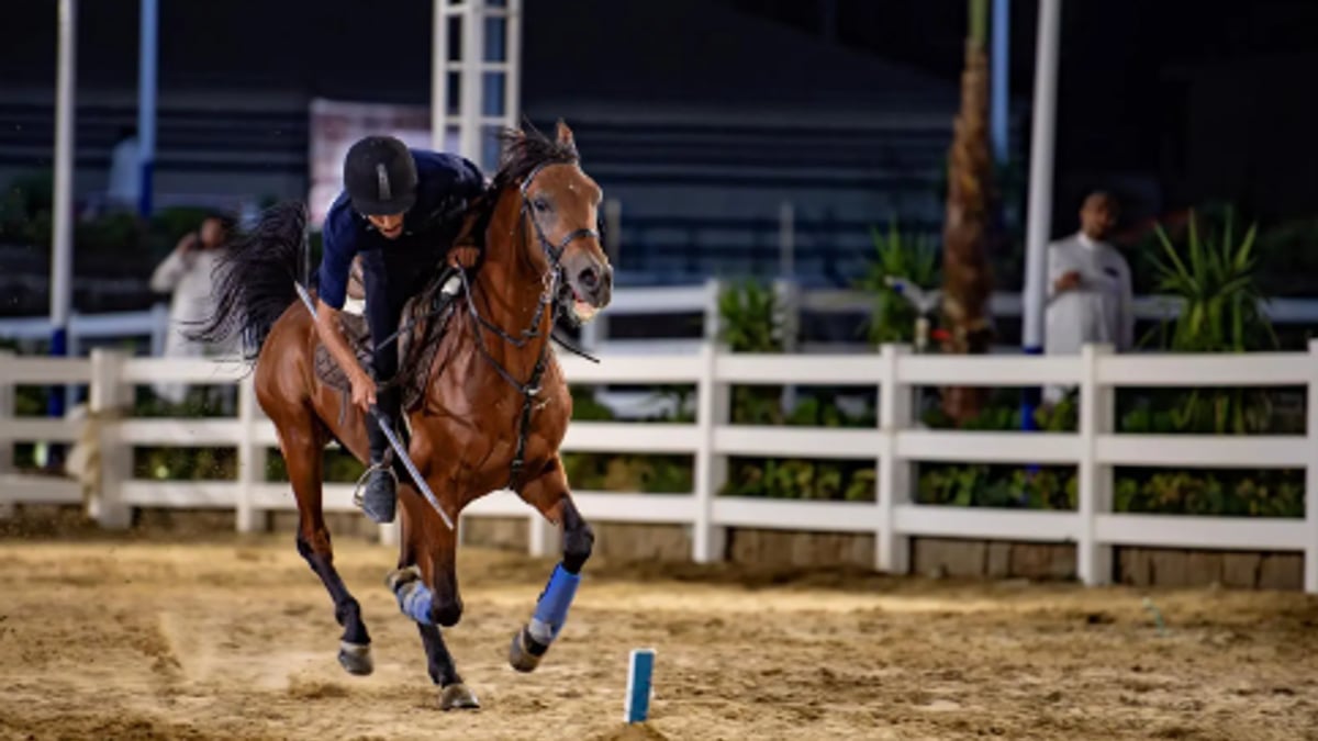 مرابط الخيل في الطائف تقدم تجربة فروسية للسياح