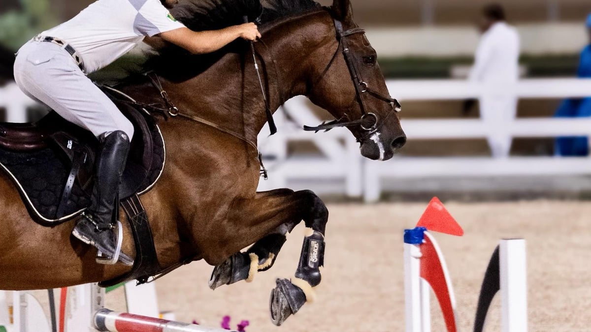 مرابط الخيل في جازان تدعم فرسان المنطقة وتروج لإرث الفروسية