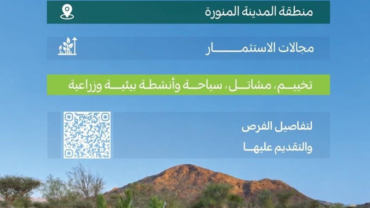 مركز الغطاء النباتي يعلن عن 11 فرصة استثمارية لتنمية متنزهات المدينة المنورة