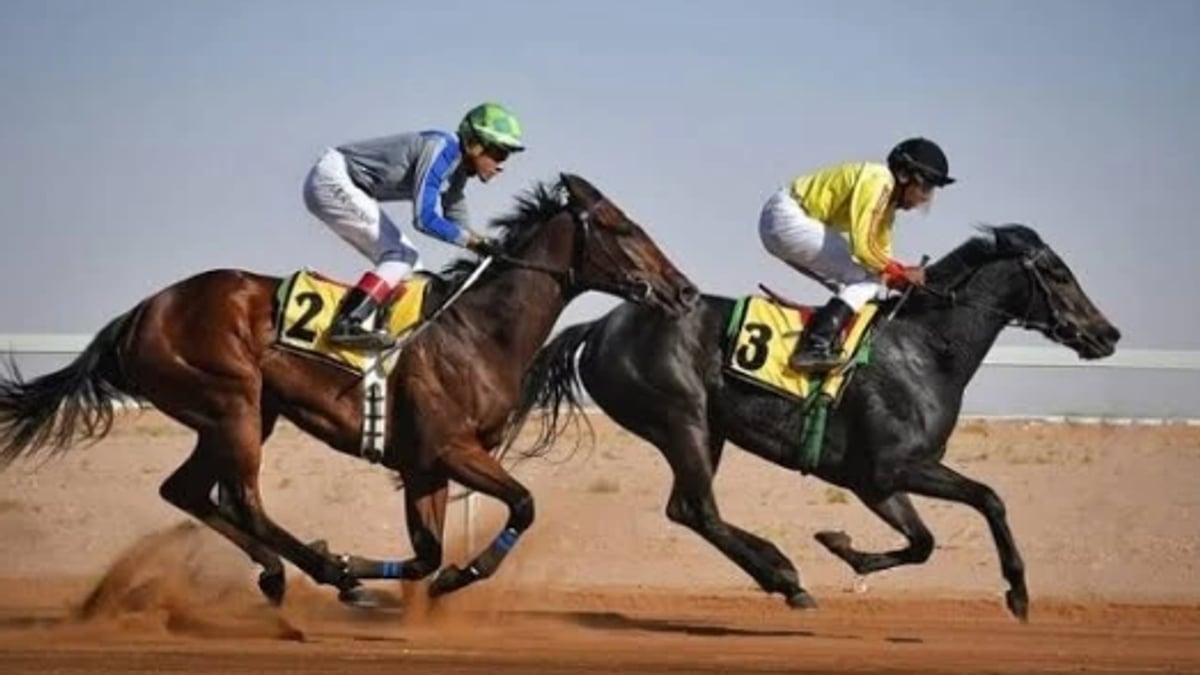 ميدان فروسية الباحة يطلق أول سباق خيل اليوم