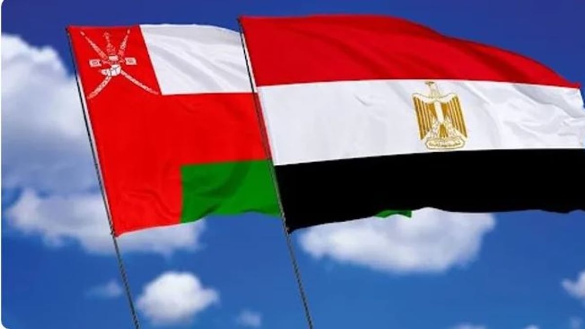وزير الخارجية المصري يتحدث هاتفيًا مع نظيره العُماني حول التطورات الإقليمية