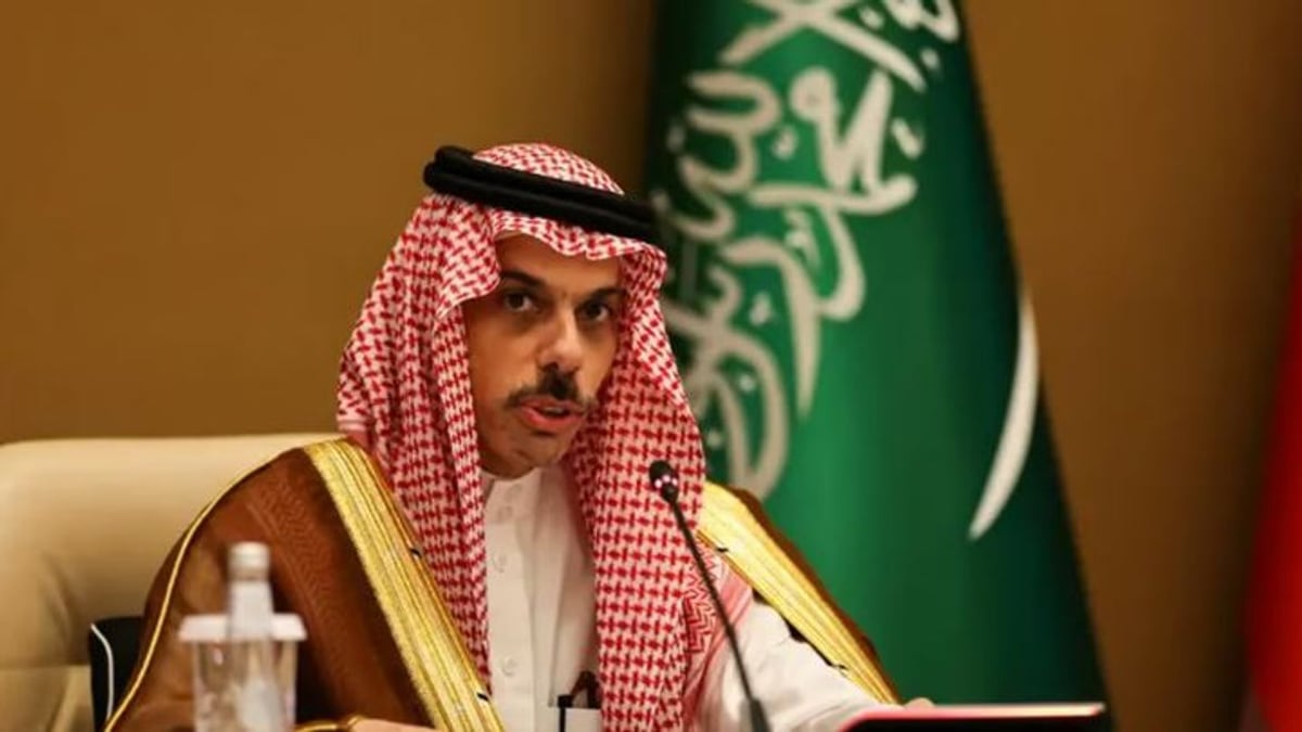 وزير الخارجية يؤكد أهمية الدبلوماسية لتحقيق الأمن والاستقرار في المنطقة