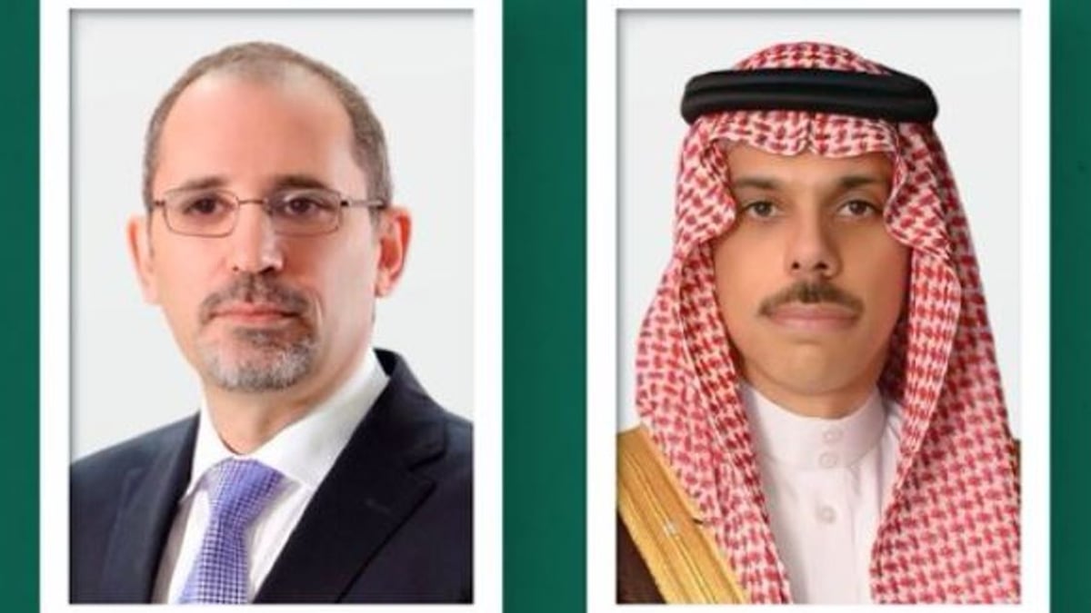 وزير الخارجية يناقش الأوضاع الإقليمية مع نظيره الأردني