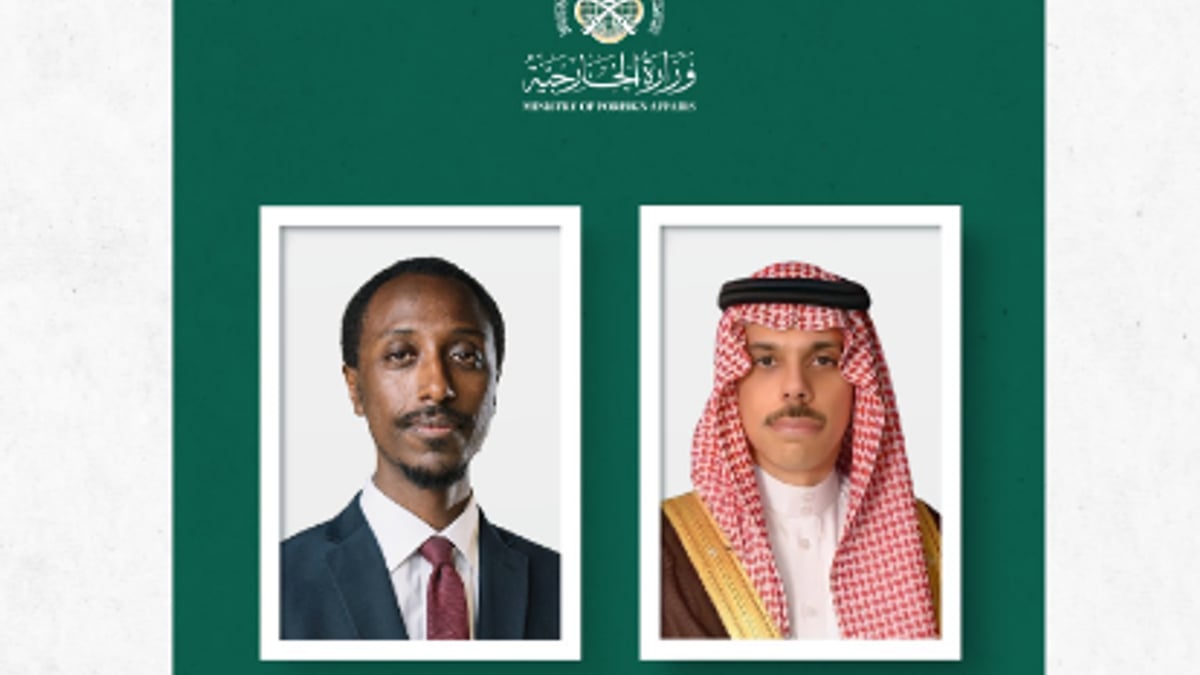 وزير الخارجية يناقش العلاقات مع نظيره الإثيوبي والقضايا الإقليمية