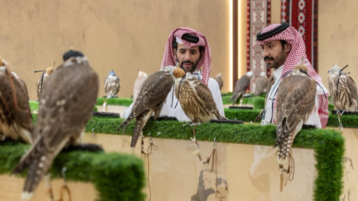 14 مزرعة جديدة تعزز المزاد الدولي للصقور في السعودية