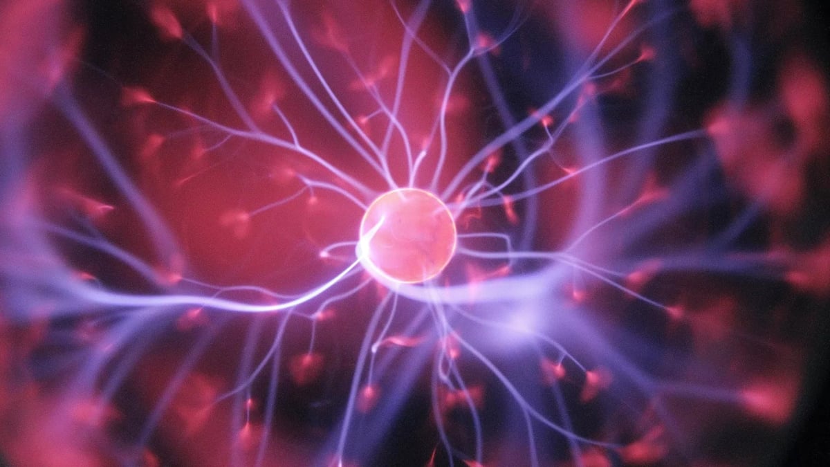 آلية جديدة لإصلاح الدماغ باستخدام خلايا نجمية لإعادة بناء الأنسجة المتضررة
