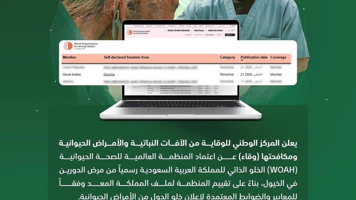 المملكة تحقق اعتماد المنظمة العالمية للصحة الحيوانية خلوها من مرض الدورين في الخيول