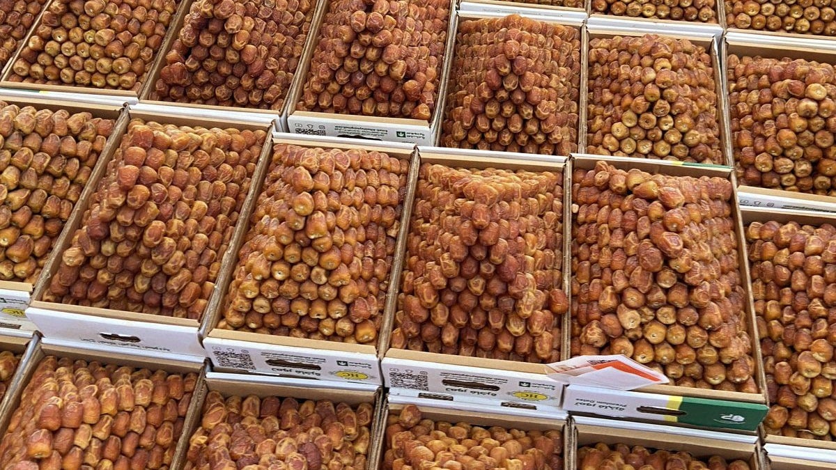 تمور البكيرية تصل إلى 250 طنًا يوميًا بعد 17 نسخة من النجاح